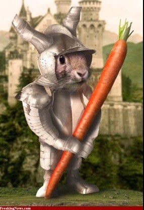 Chaser of Cats. 
A true knight of the realm and carrot patch.
First Rabbit of Braavos.