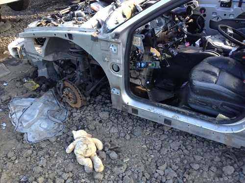 jonsnowmonroe's profile picture. “Being crazy isn't enough.”