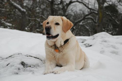 micinvic2283's profile picture. 