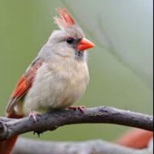 kss9722's profile picture. คุยเล่นๆ ไร้สาระ