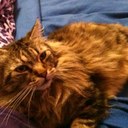 Paula Cáceres Molina - @kceresPaula - Twitter