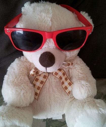 I am the coolest bear in the damn world and dont forget it