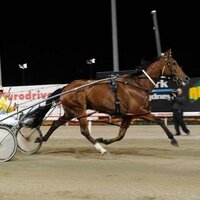 Joanne Andersen (@joanneandersen2) 's Twitter Profile