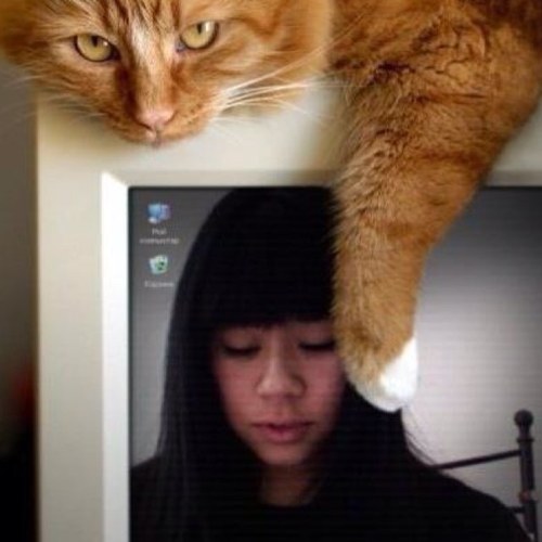 tippany14's profile picture. Classy, stylish, pink lover, future pharmD ^_^