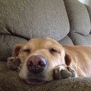 Jan Barber - @jbkbarb - Twitter