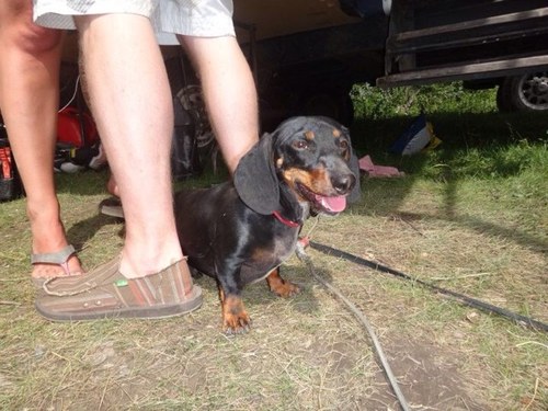 jen_sinz's profile picture. 