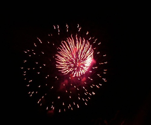 woootad's profile picture. 