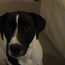 Nora Yates - @NoraYates4 - Twitter