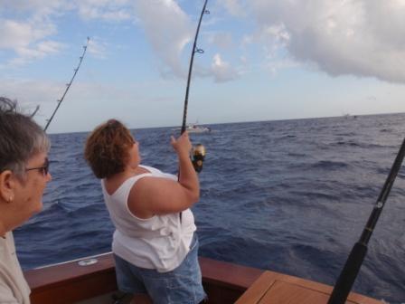 teralplexuspink's profile picture. Christian mother and wife that loves to help others!