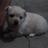 solcazuza's profile image