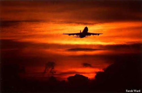 azangrilli's profile picture. FSU Alum, Booster, Season Ticket Holder, and one hell of a model American!