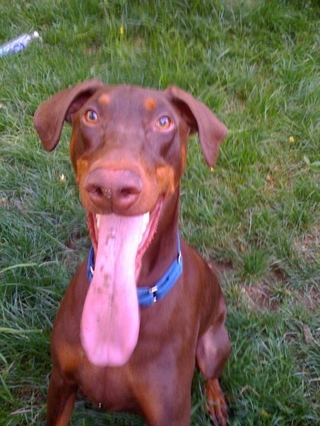 deanmv's profile picture. An Englishman in the Wild West.