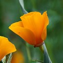 Betsy Taylor - @betsytrn - Twitter