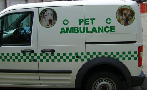 gdws1's profile picture. theres not a hill to steep nor a ditch to deep or obstical placed in our way we wont get up out over to help animals and owners in need