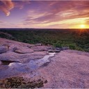 Robyn Mackay - @RossSandfans - Twitter