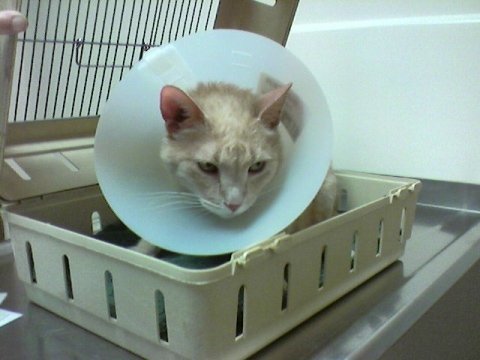 waybelowthebelt's profile picture. Reader | Viewer | Reviewer | Donor | Transferrer of pennies