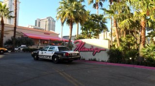 LeoDiPecora's profile picture. 