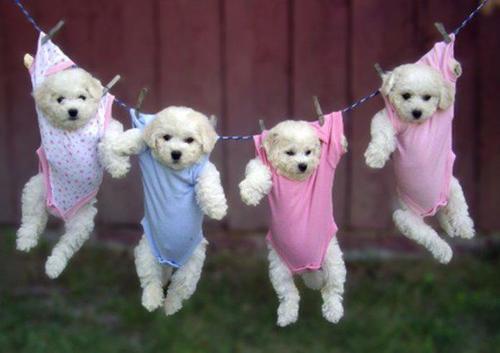 Shellyshawshank's profile picture. 