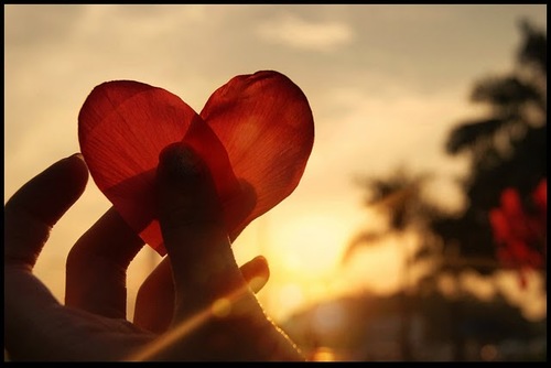 Gosta de frases de amor? então siga-me, não vai se arrepender. prometo. *-*
