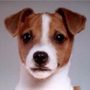 Floyd Levy Ramilo - @Levonron - Twitter