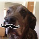 scott starcher - @eaglemathman - Twitter