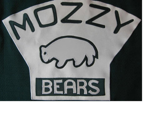 MozzyBears Profile Picture