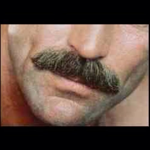 TomSelleckTache's profile picture. Actor, bon vivant, lover of women, facial accessory. The comments on here are my own, and are not representative of the Big Guy.