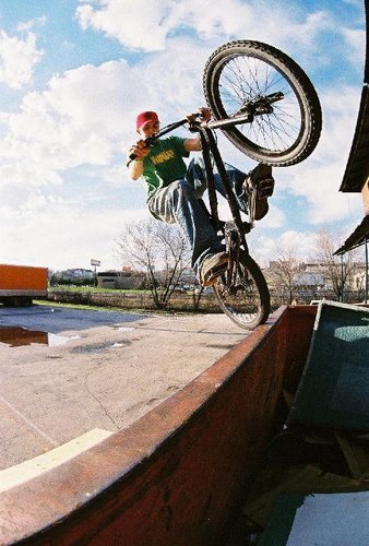 wiskasiniteowl's profile picture. 