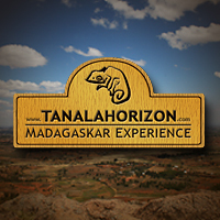 TANALAHORIZON's profile picture. Travel Agency  Since 1995 experience in Madagascar. Specialist for photo safaris and adventure tours on the fourth-largest island in the world: Madagascar.