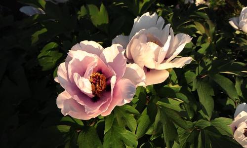 rn818's profile picture. 