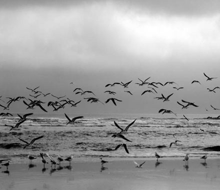 SaronaAl3noona's profile picture. 