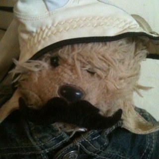 ltthebear's profile picture. I'm a bear living in Melbourne, Australia. I like golf, fishing, Richo, and honey.