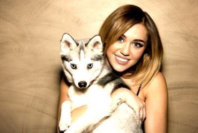 @mileycyrus é a minha vida,quero tanto te conhecer,se me perguntarem quem eu respiro é você,Não vivo sem você minha garota perfeita.;')