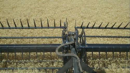 KejrFarms's profile picture. 