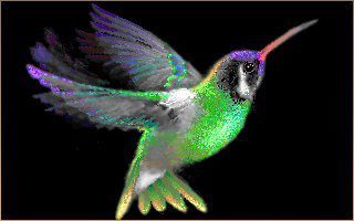 Helping Companies Migrate Mainframes into the Future! Extend IT to the Cloud, Running! Discovering the World, Green Advocate, Life-long learning, birder, poet,