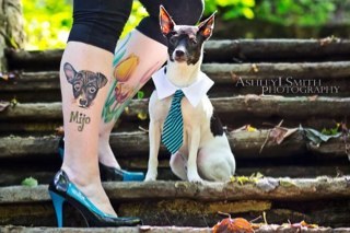 I love music, tattoos, the Lakers (my Pau Gasol), and traveling.  I've worked for Pennsylvania state government since I was 16, and want out!  Rawr, rawr!