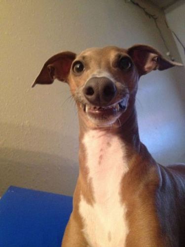 OhStewy's profile picture. Strolling around...supporting RK.