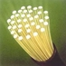 Glas Info (@glasinfo) Twitter profile photo Glas Info (@glasinfo) Twitter profile photo
