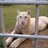 Kwan1915's profile image