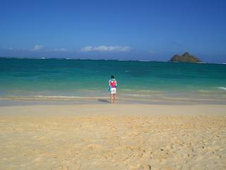 misslis212's profile picture. LIVE*LAUGH*LOVE