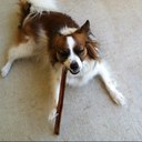 Steven McNulty - @footlivesnmouth - Twitter