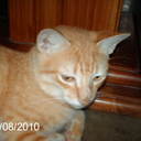 yenni raquel cordero - @CorderoYenni - Twitter