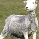 James Pickering - @rcjpick - Twitter