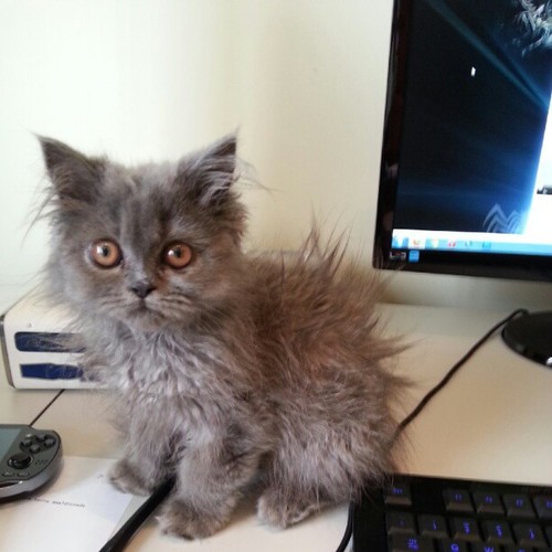 ExtremeVip's profile picture. Gosto De Mais Do VenomExtreme
E Seus Videos