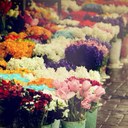 najd (@00_najd) Twitter