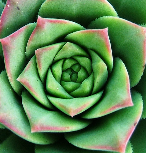 LeonKocjancic's profile picture. PhD Research Student in radar systems @CranDefSec and @DefAcUK, sponsored by @Thales. Passionate about science & engineering.