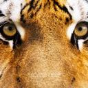 Jillian Spence - @JillianSpence1 - Twitter