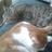 Karen Moon (@karenmoon5) Twitter profile photo
