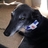 AliSaxby's profile image