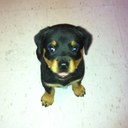 Samantha Burrows - @burrows_s - Twitter